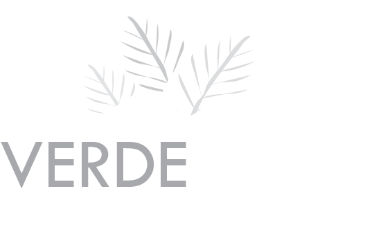 Asset 1VerdeVivo Logo
