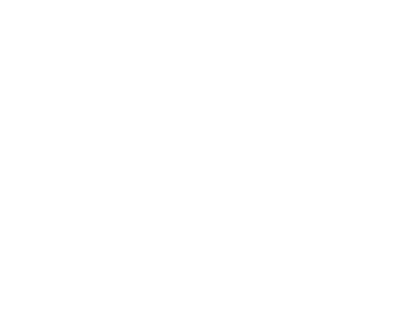 Bendito arroz Logo