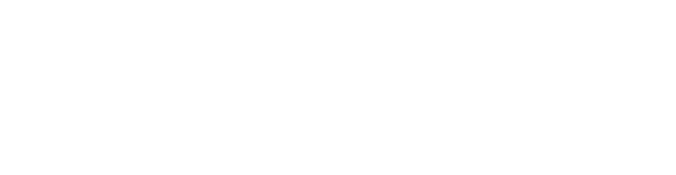 Giz Logo