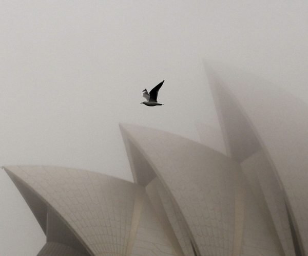 AUSTRALIA
